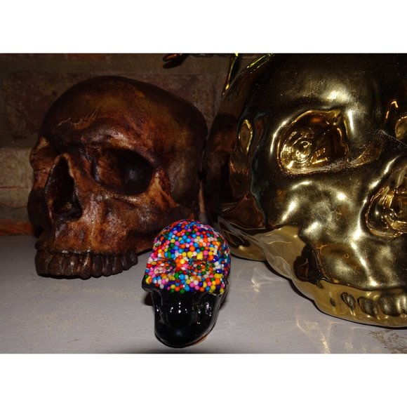 Small Rainbow Sprinkles Resin Skull oddity curiosity witchy pastel goth gothic - Picture 6 of 15